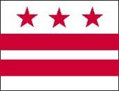 A flag with three stars and two stripes.